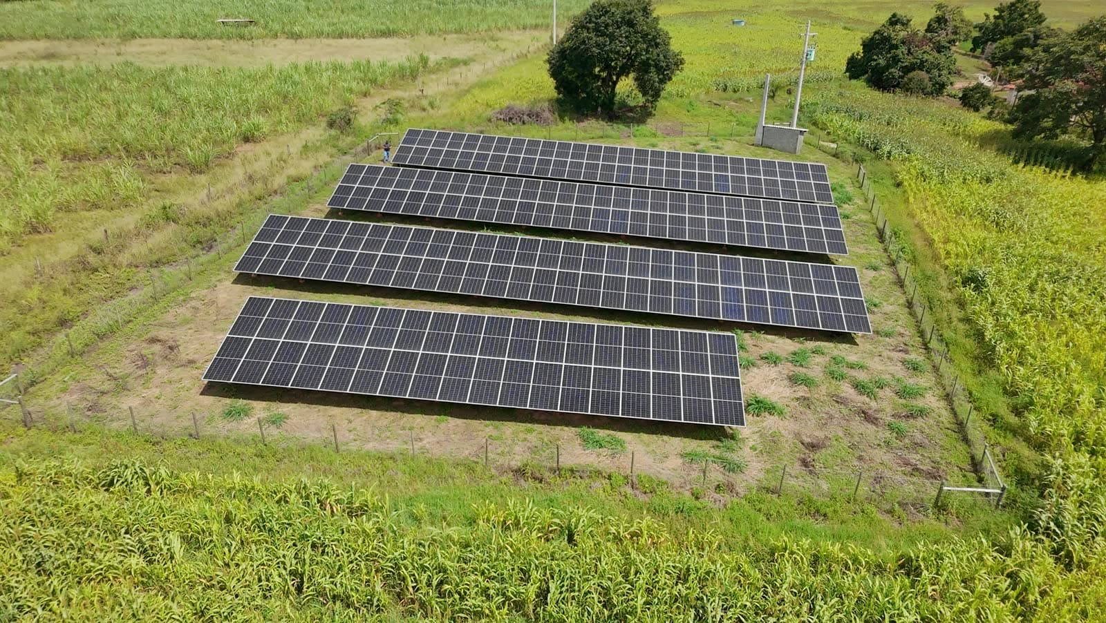 Usina solar rural do cliente Luiz, painéis instalados em estrutura no solo
